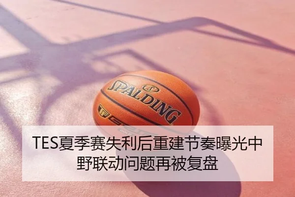 TES夏季赛失利后重建节奏曝光中野联动问题再被复盘